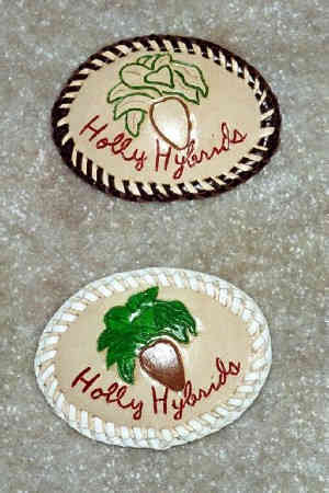 Holly Hybrids 